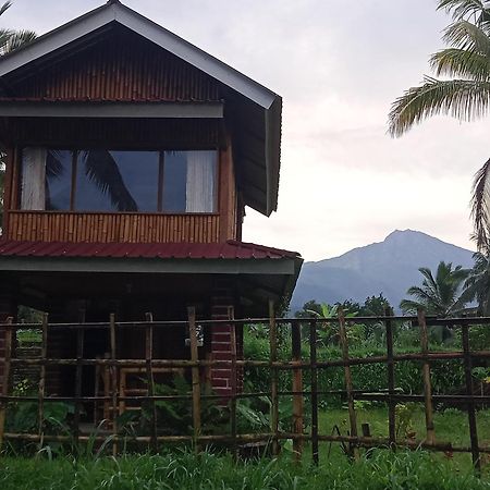 Coconut Homestay Tetebatu Luaran gambar