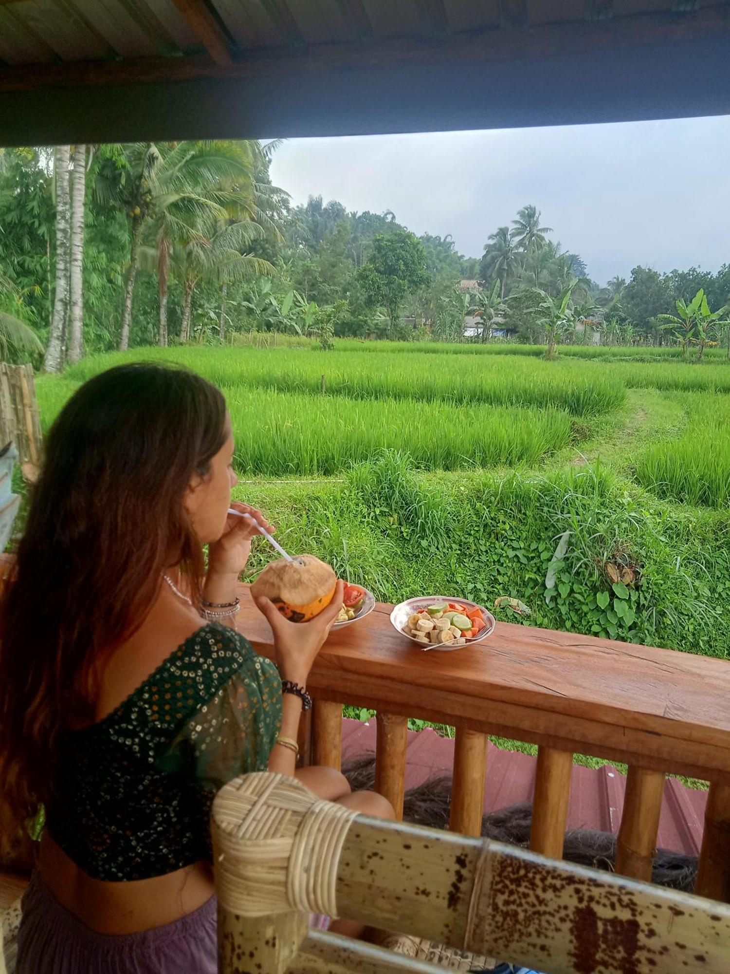 Coconut Homestay Tetebatu Luaran gambar