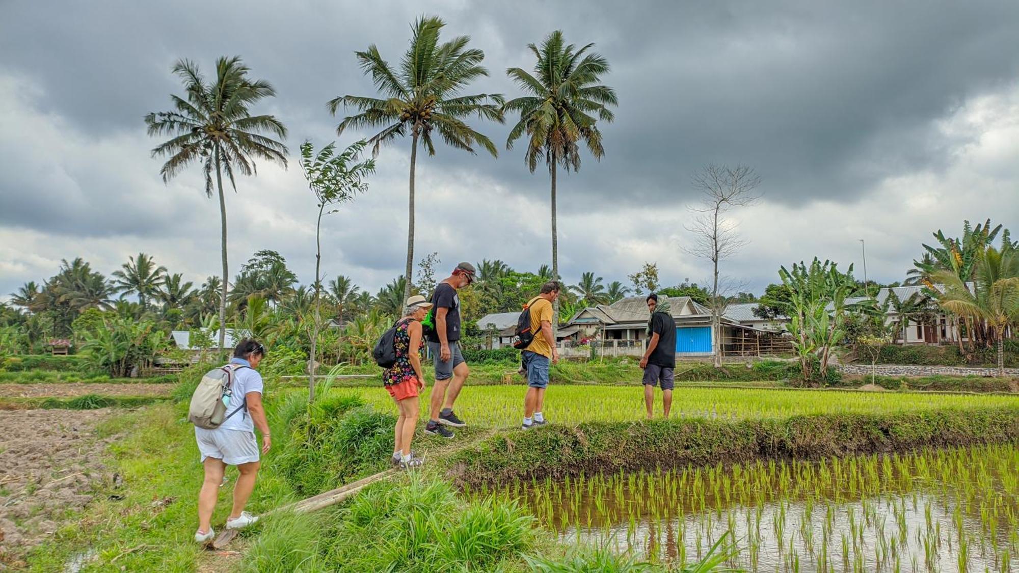 Coconut Homestay Tetebatu Luaran gambar