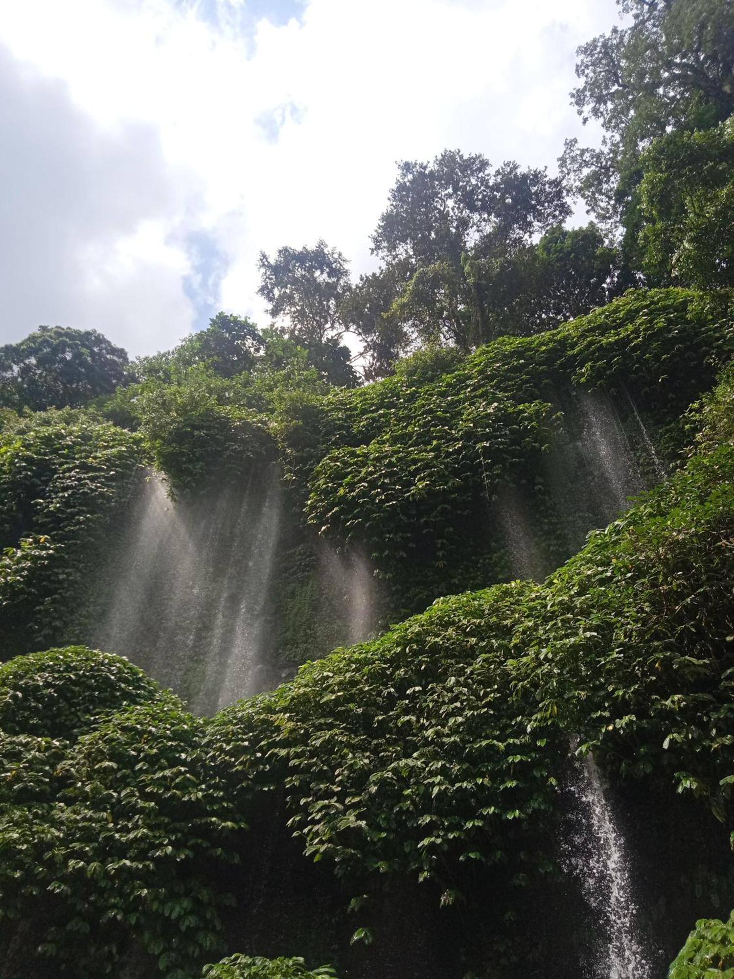 Coconut Homestay Tetebatu Luaran gambar