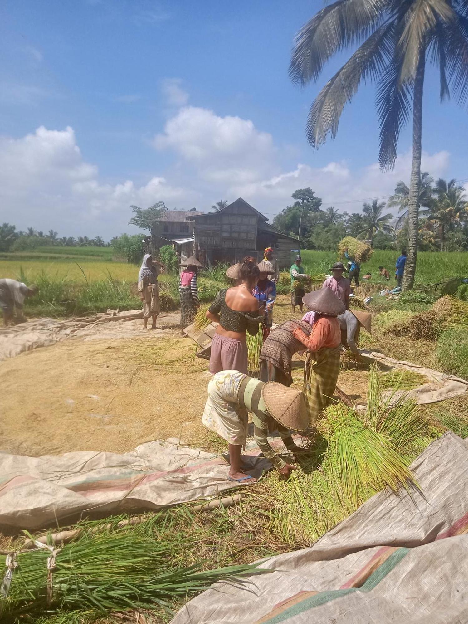Coconut Homestay Tetebatu Luaran gambar