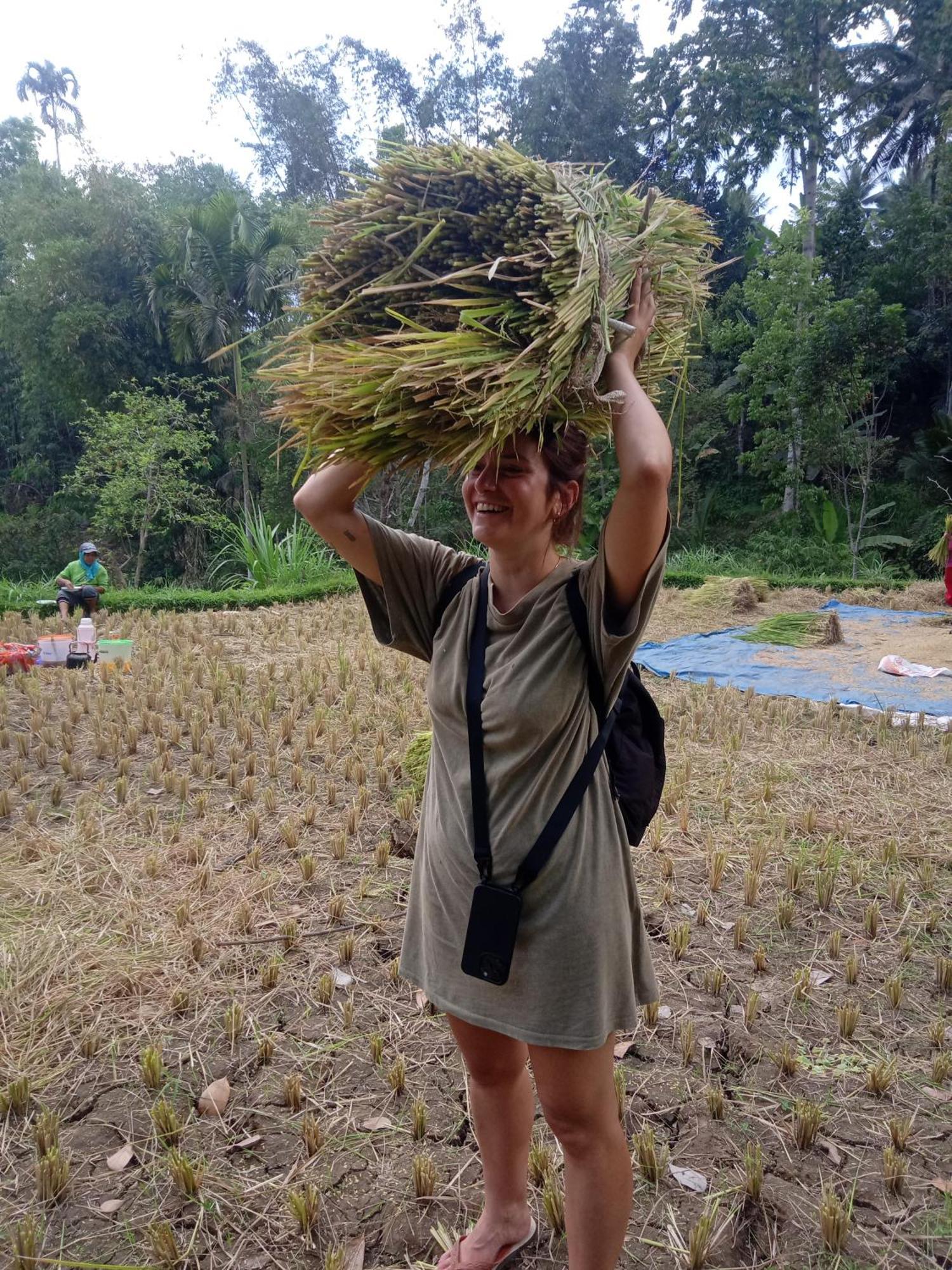 Coconut Homestay Tetebatu Luaran gambar