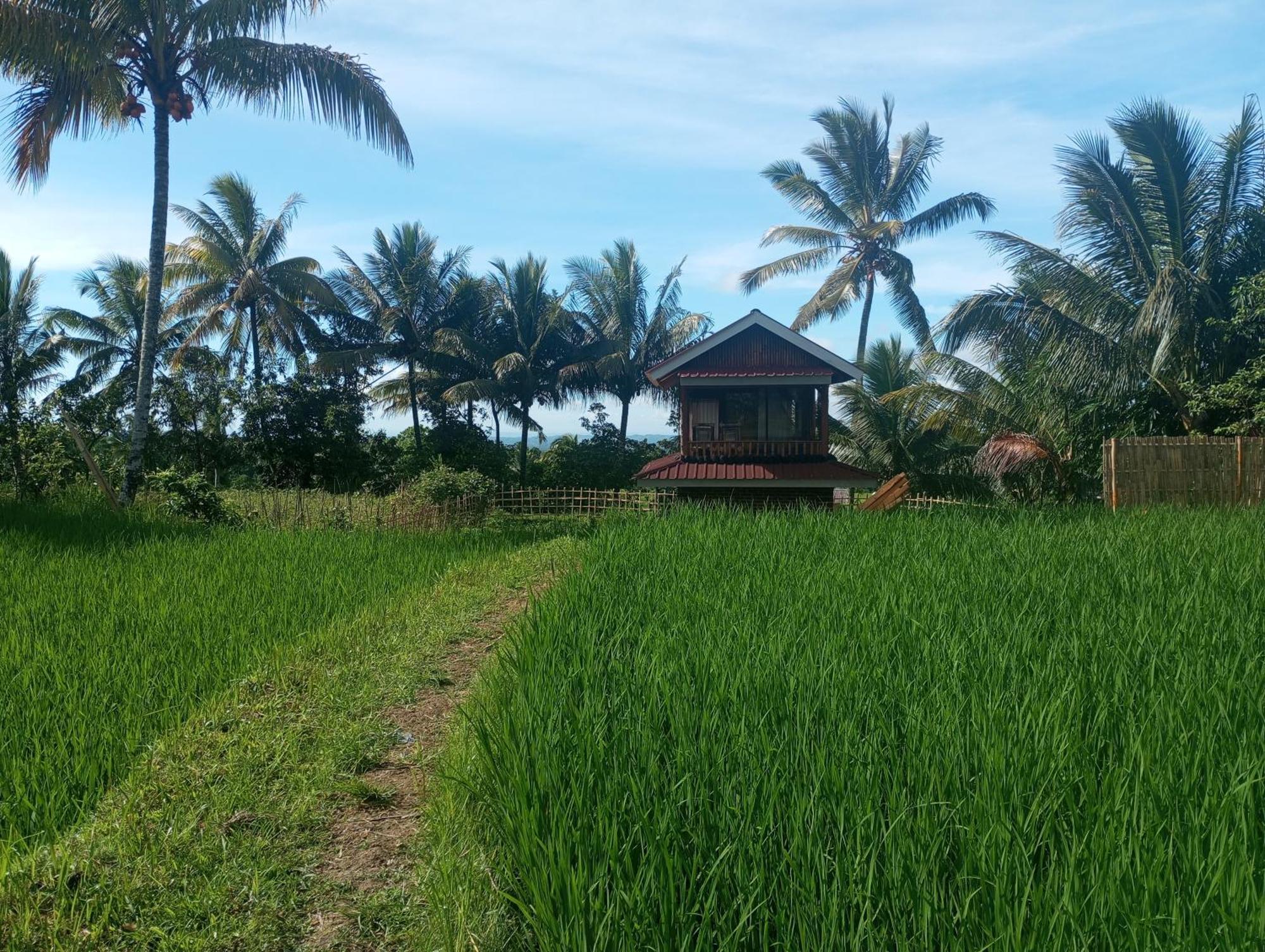 Coconut Homestay Tetebatu Luaran gambar