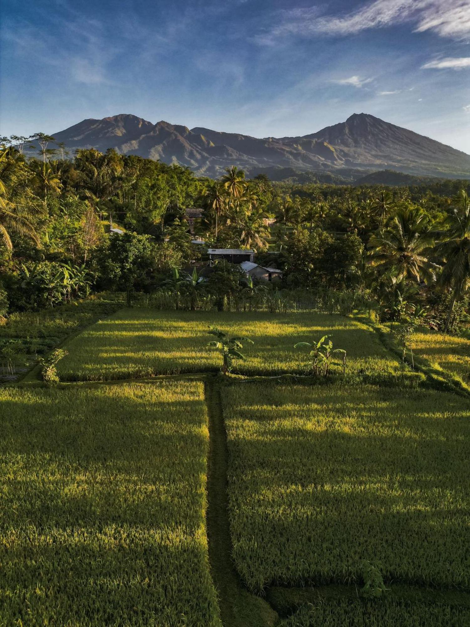 Coconut Homestay Tetebatu Luaran gambar
