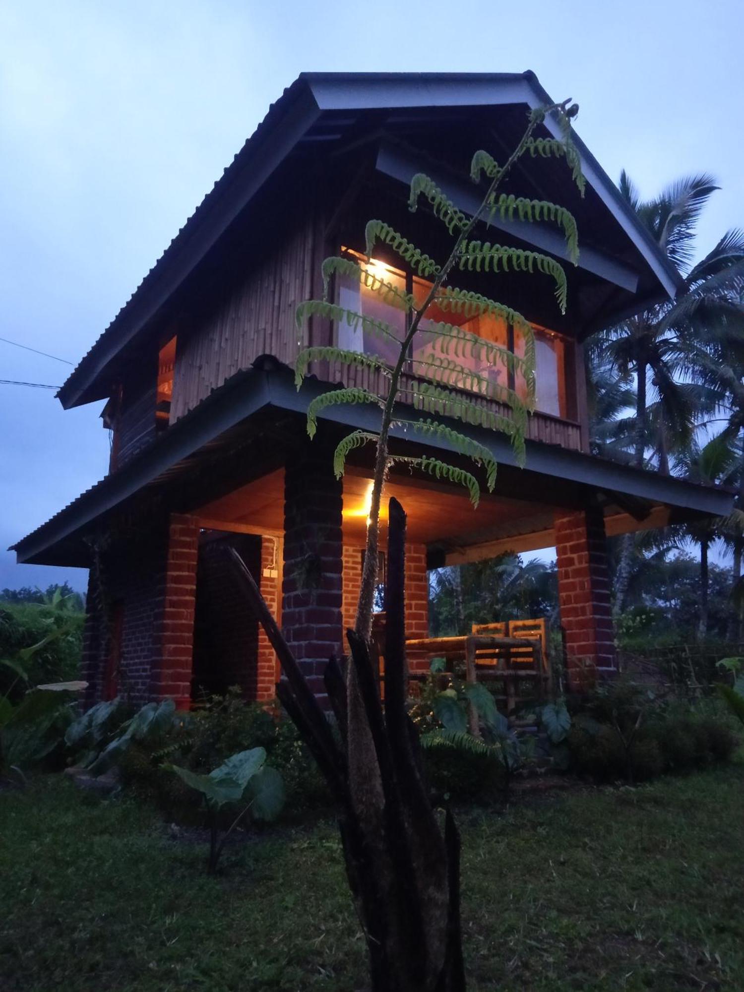 Coconut Homestay Tetebatu Luaran gambar