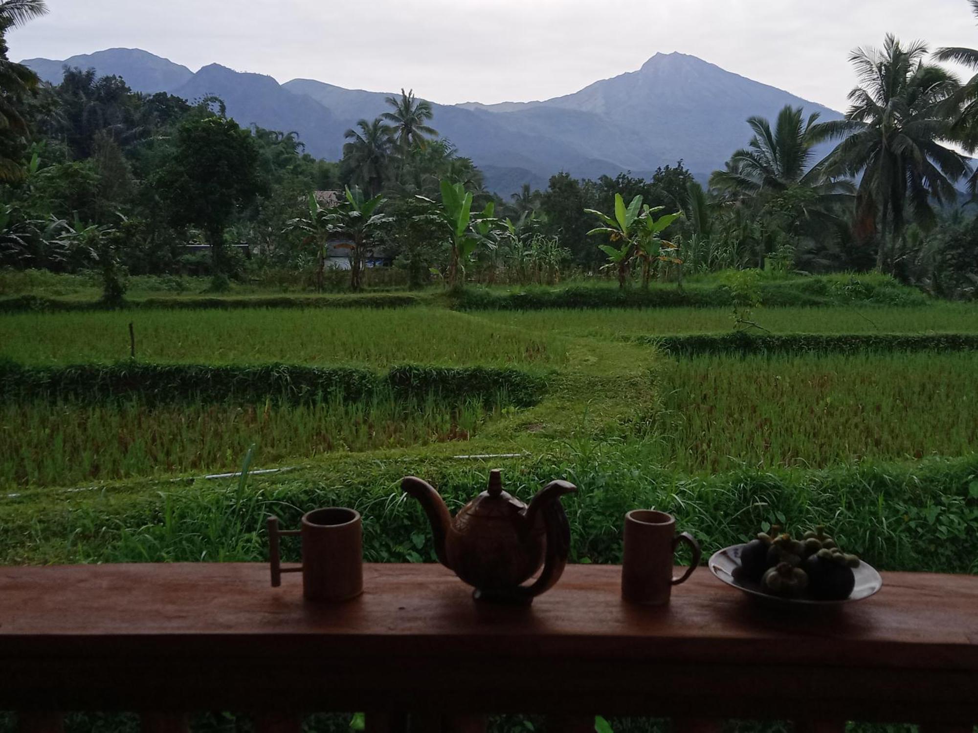 Coconut Homestay Tetebatu Luaran gambar