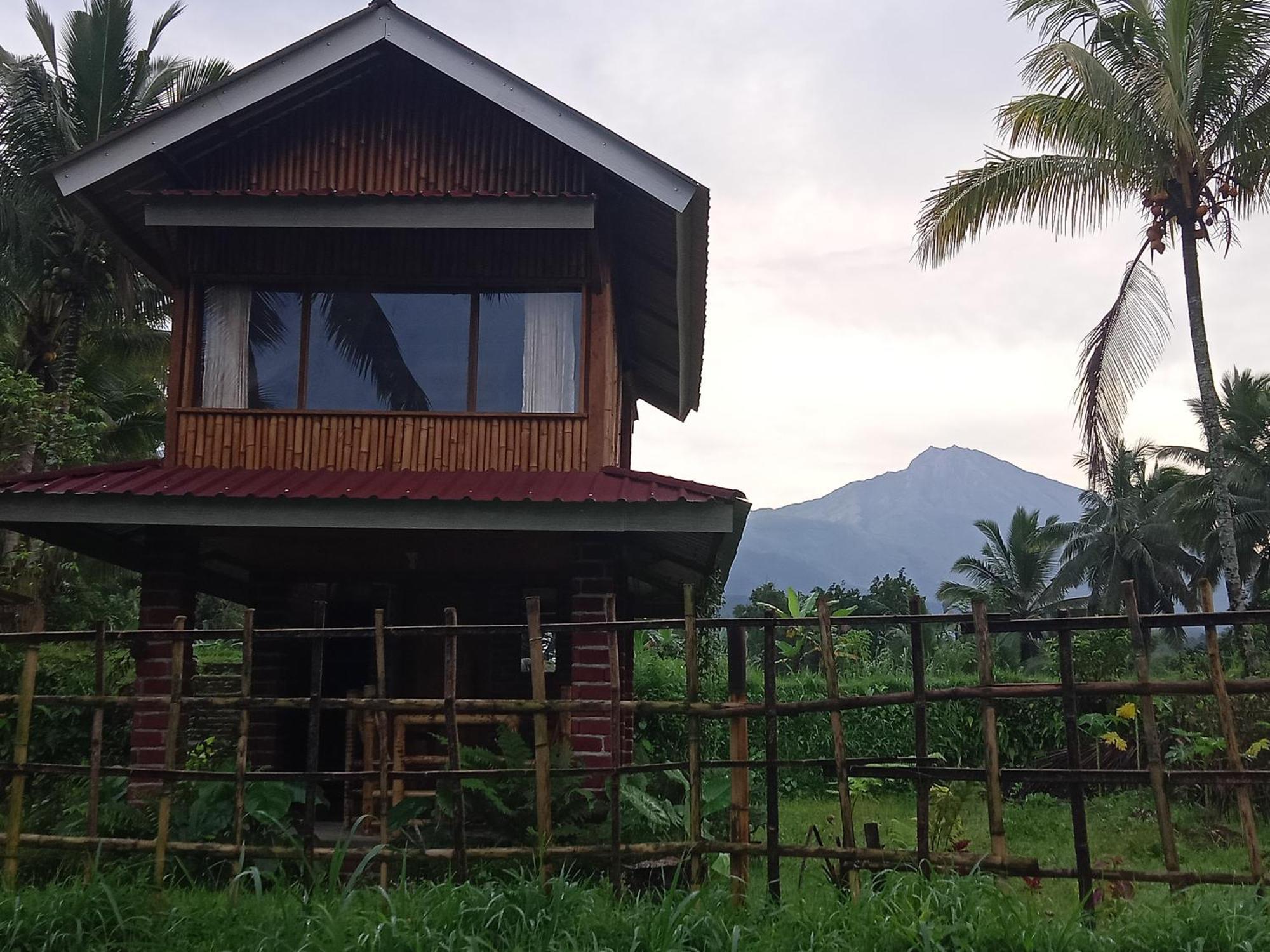 Coconut Homestay Tetebatu Luaran gambar